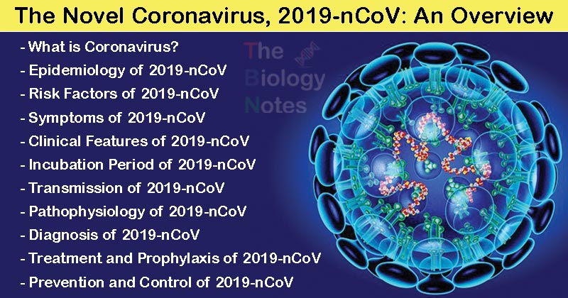 COVID-19 (Coronavirus)